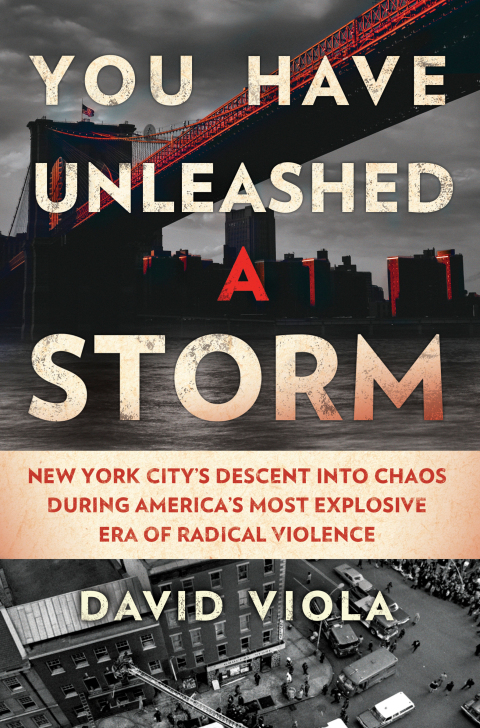Cover image for book You Have Unleashed a Storm