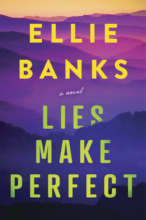 Cover image for book Lies Make Perfect