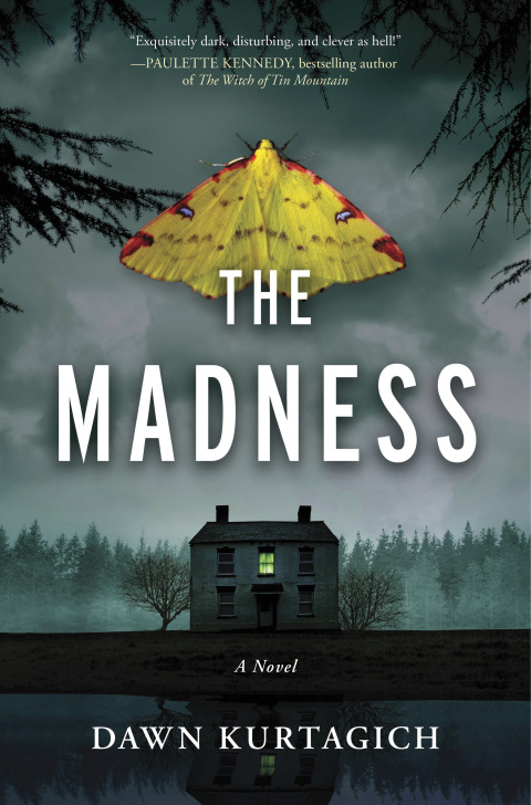Cover image for book The Madness