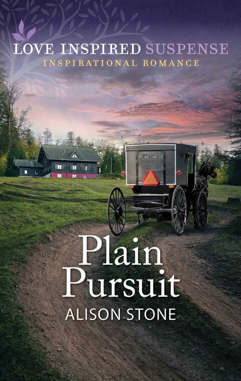 Cover image for book Plain Pursuit