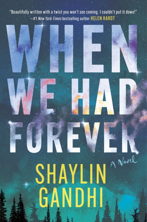 Cover image for book When We Had Forever