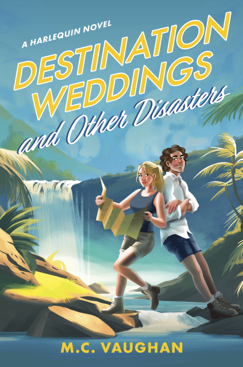 Cover image for book Destination Weddings and Other Disasters