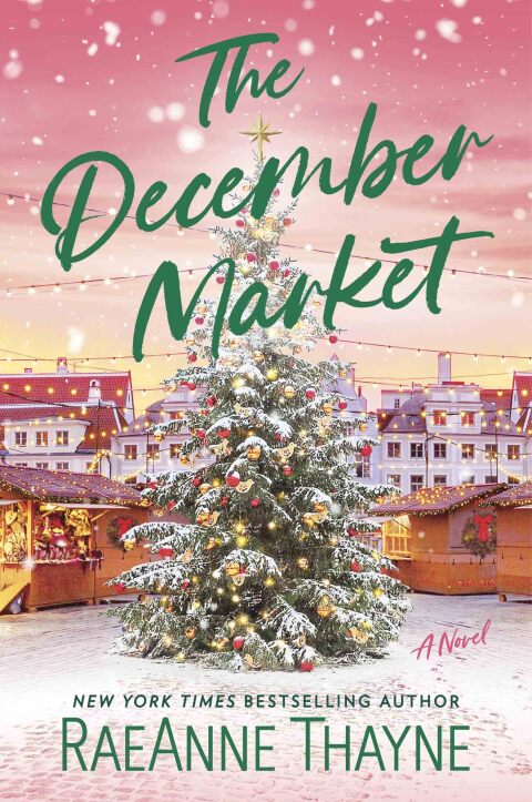 Cover image for book The December Market