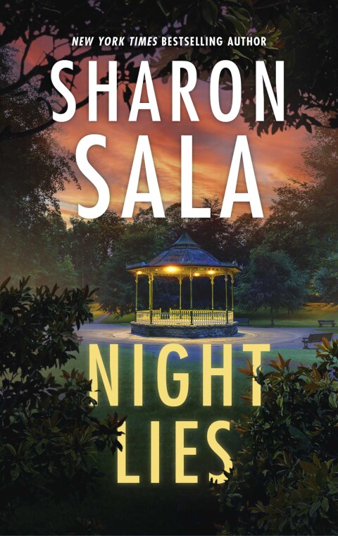 Cover image for book Night Lies