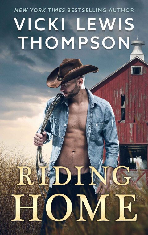 Cover image for book Riding Home