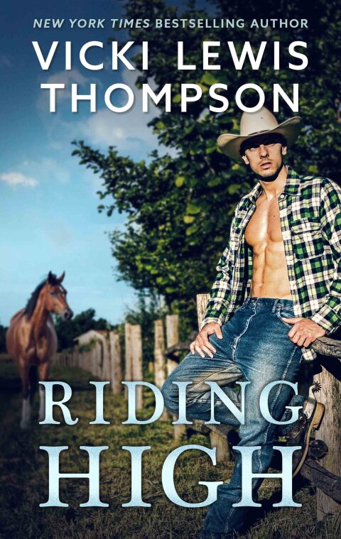 Cover image for book Riding High