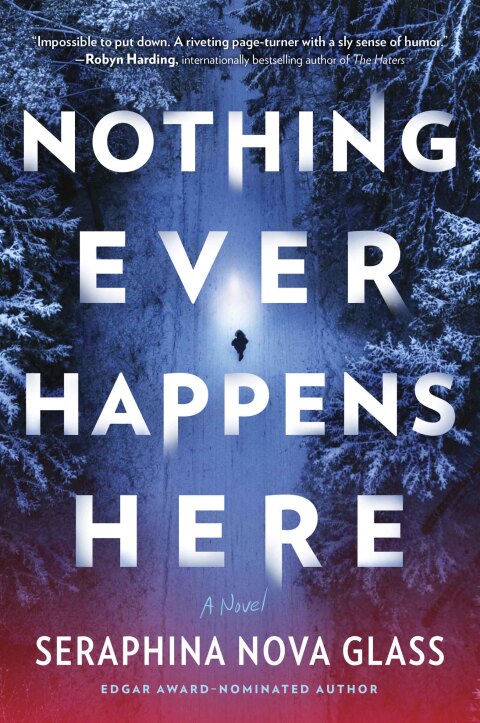 Cover image for book Nothing Ever Happens Here