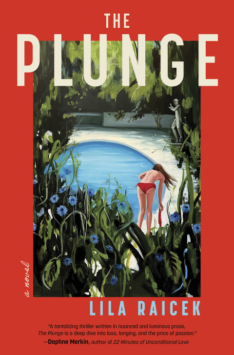 Cover image for book The Plunge