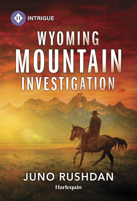 Cover image for book Wyoming Mountain Investigation