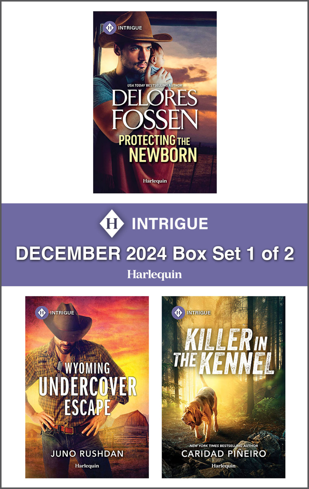 Reflowable Harlequin Intrigue December 2024 -  Box Set 1 of 2; $13.31
