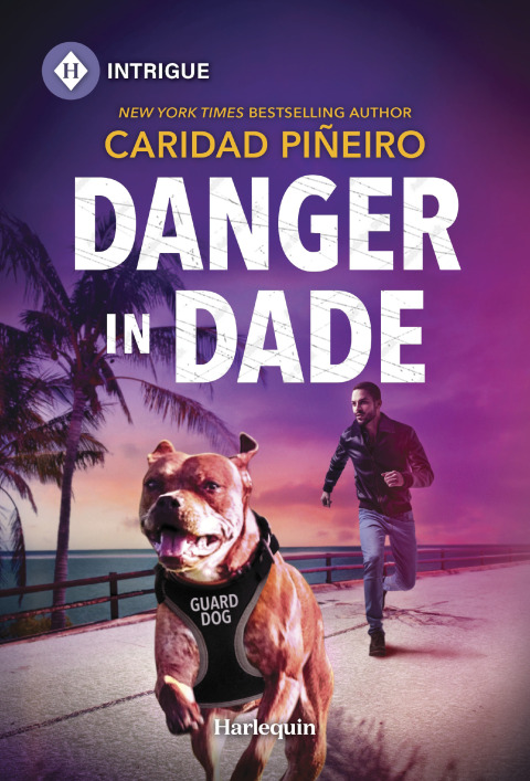 Cover image for book Danger in Dade