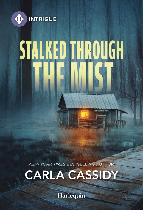 Cover image for book Stalked Through the Mist