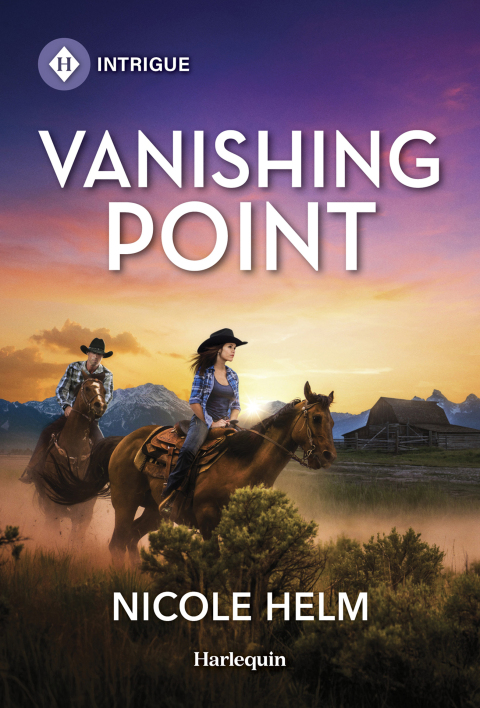 Cover image for book Vanishing Point