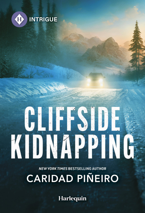 Cover image for book Cliffside Kidnapping