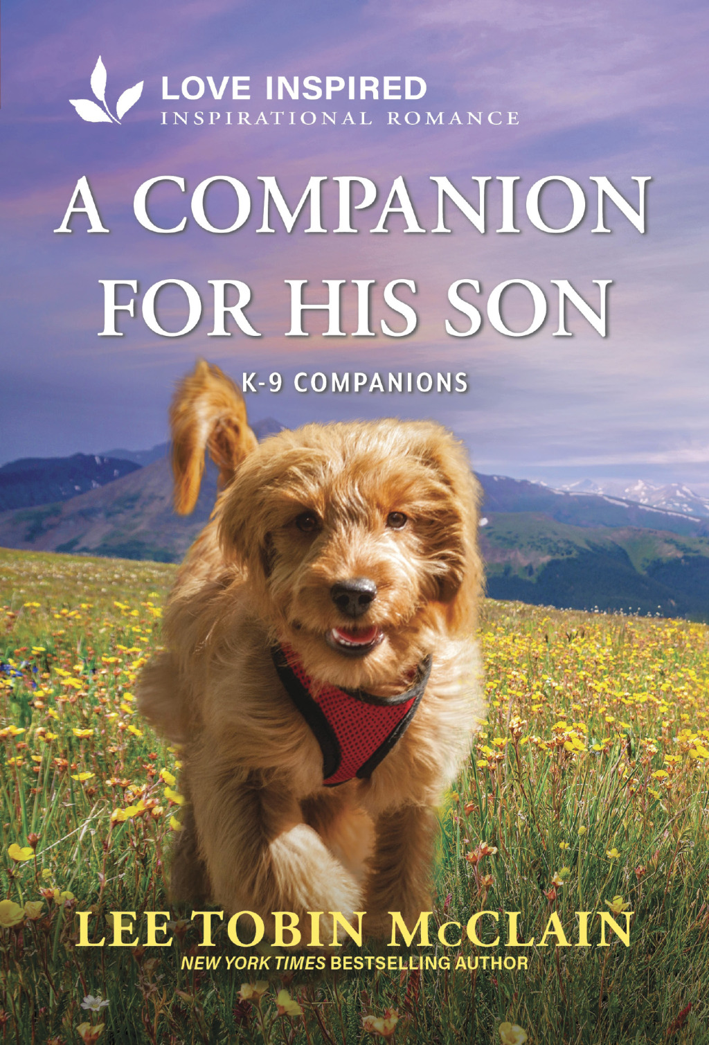 Reflowable A Companion for His Son; $7.76