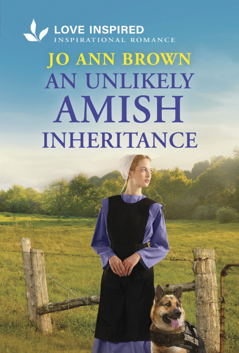 Cover image for book An Unlikely Amish Inheritance