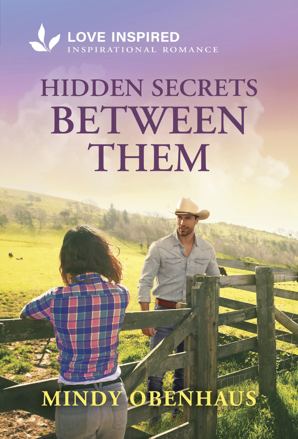 Reflowable Hidden Secrets Between Them; $5.54