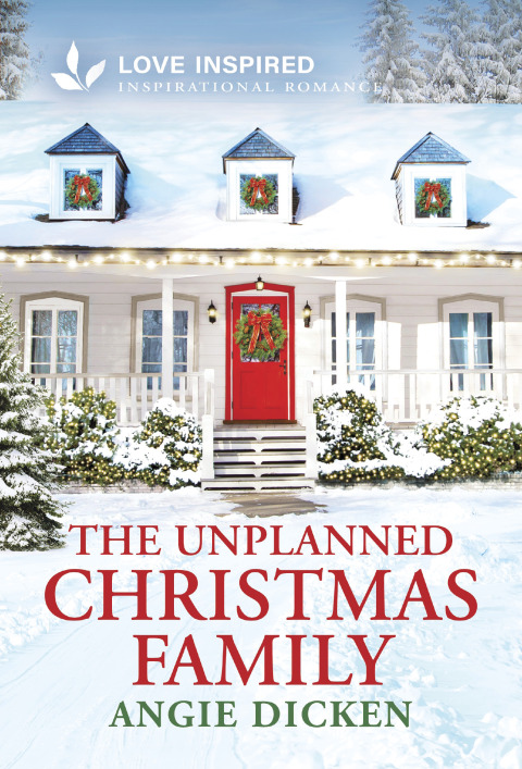 Cover image for book The Unplanned Christmas Family