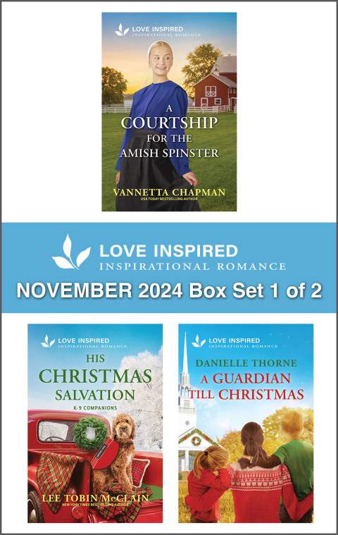 Cover image for book Love Inspired November 2024 Box Set - 1 of 2