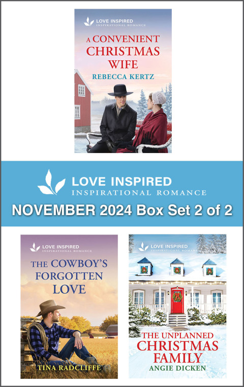 Cover image for book Love Inspired November 2024 Box Set - 2 of 2