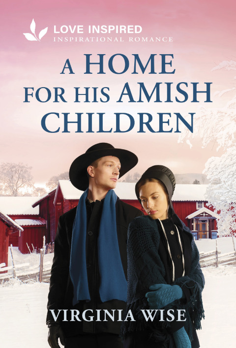 Cover image for book A Home for His Amish Children