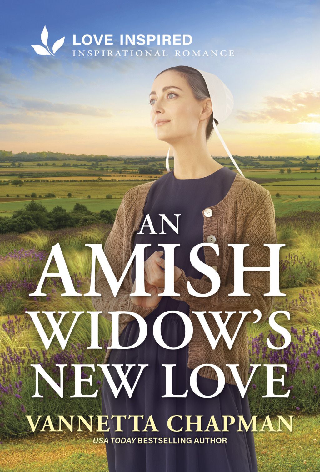 Reflowable An Amish Widow's New Love; $5.54