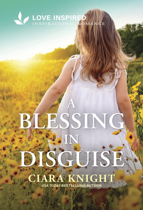 Cover image for book A Blessing in Disguise