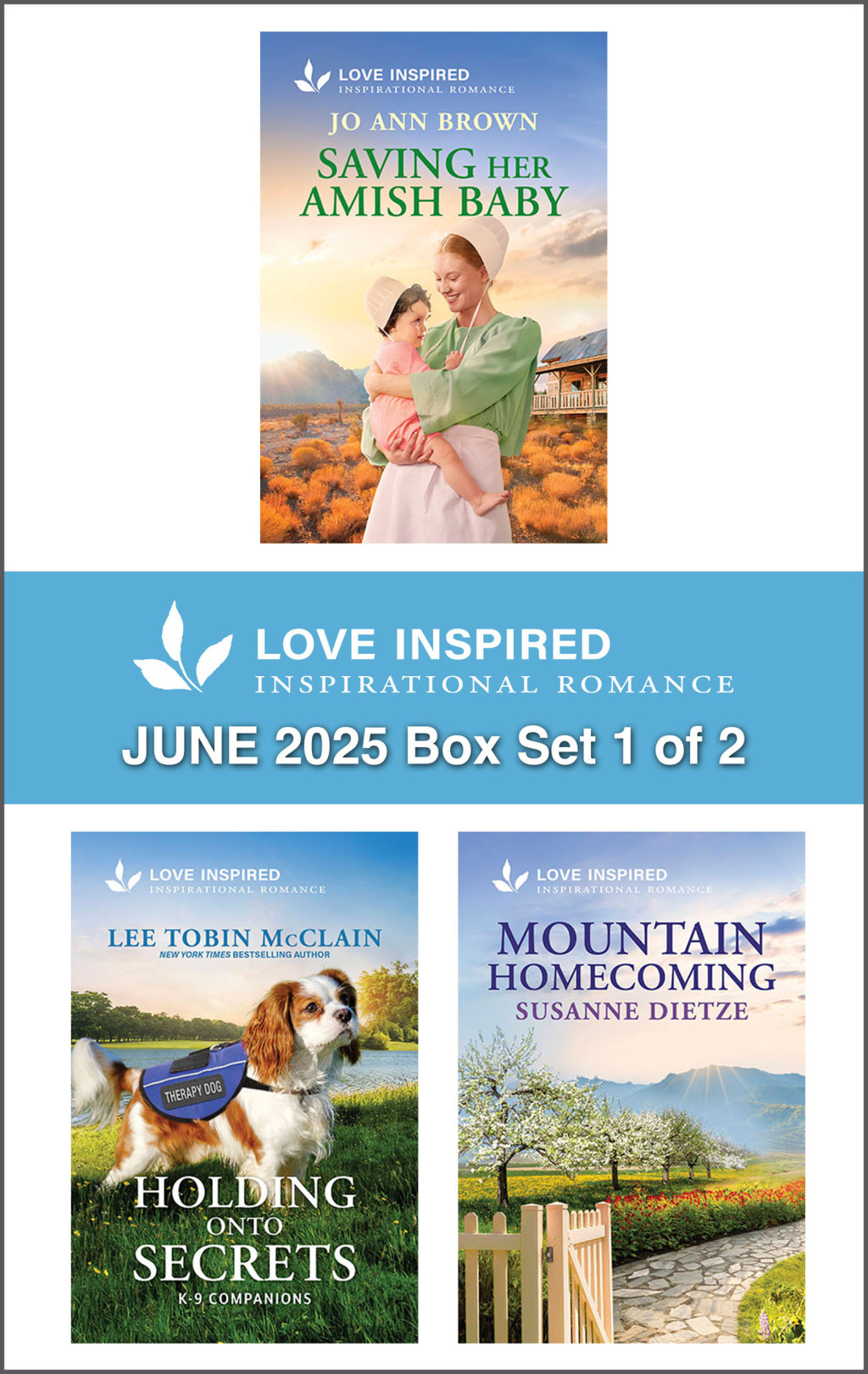 Reflowable Love Inspired June 2025 Box Set 1 of 2; $13.31