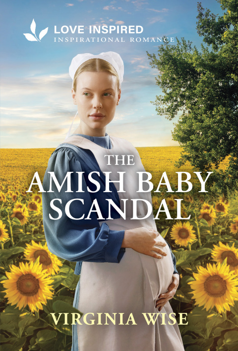 Cover image for book The Amish Baby Scandal