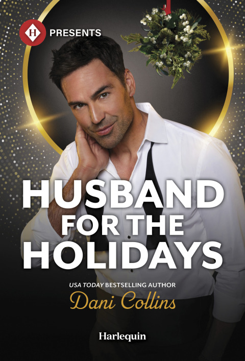 Cover image for book Husband for the Holidays