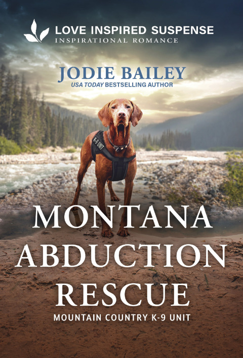 Cover image for book Montana Abduction Rescue