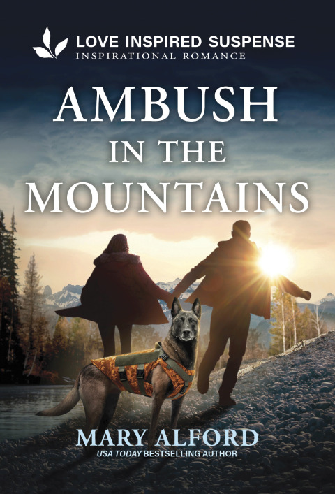 Cover image for book Ambush in the Mountains