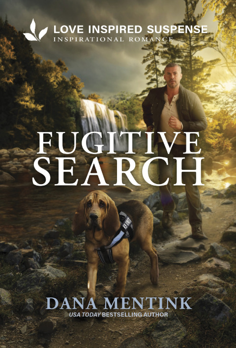 Cover image for book Fugitive Search