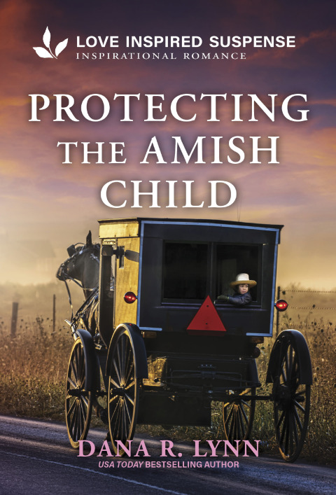 Cover image for book Protecting the Amish Child