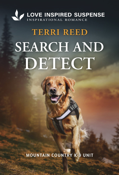 Cover image for book Search and Detect