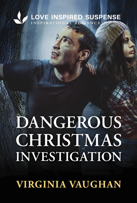 Cover image for book Dangerous Christmas Investigation