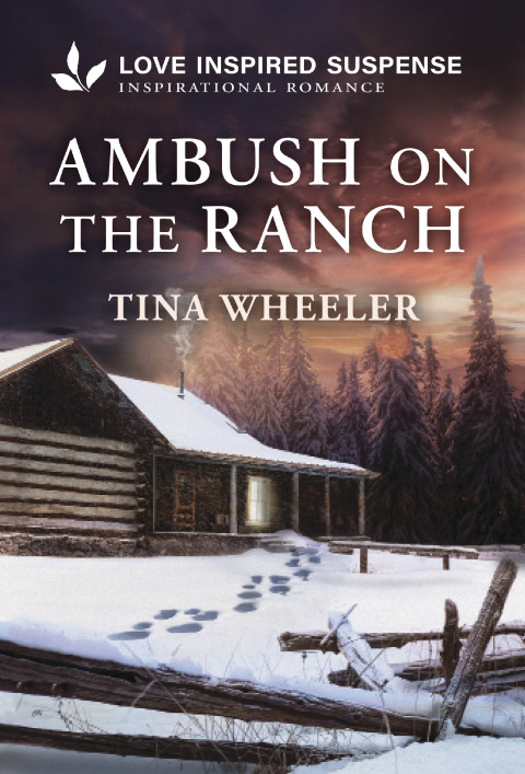 Cover image for book Ambush on the Ranch
