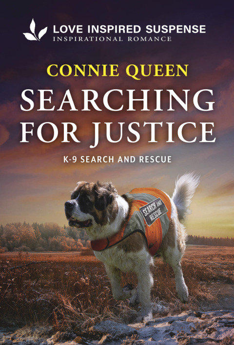 Cover image for book Searching for Justice
