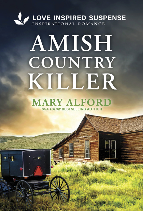 Cover image for book Amish Country Killer