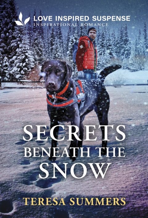 Cover image for book Secrets Beneath the Snow