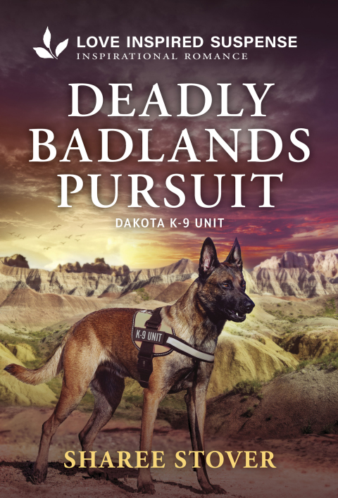 Cover image for book Deadly Badlands Pursuit
