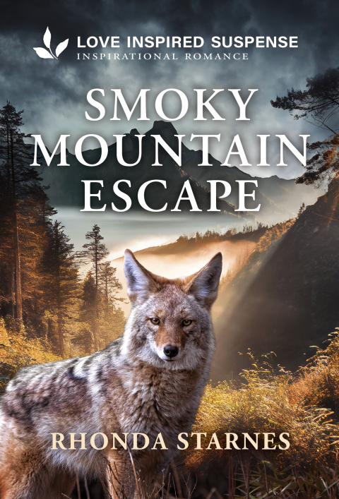 Cover image for book Smoky Mountain Escape