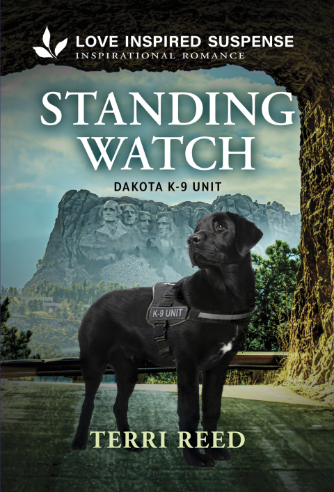 Cover image for book Standing Watch