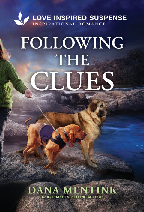 Cover image for book Following the Clues
