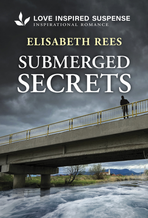 Cover image for book Submerged Secrets