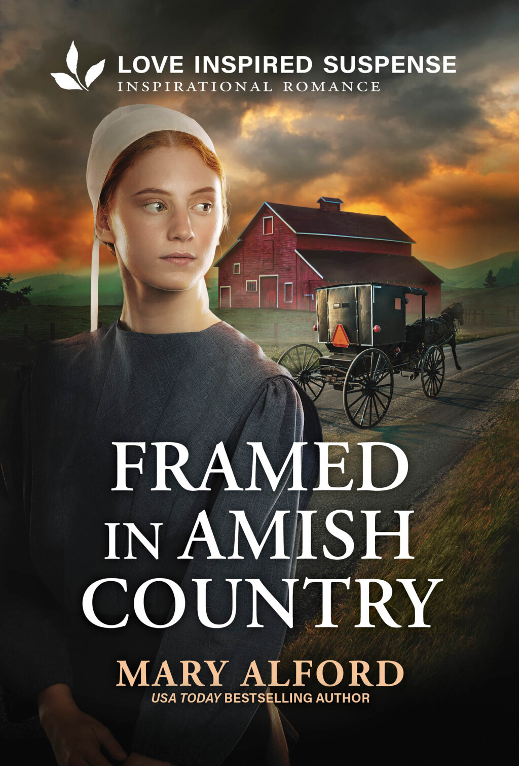 Reflowable Framed in Amish Country; $5.54