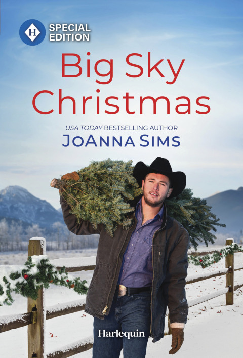 Cover image for book Big Sky Christmas