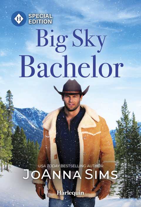 Cover image for book Big Sky Bachelor