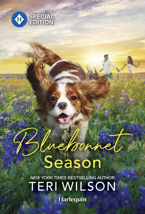 Cover image for book Bluebonnet Season