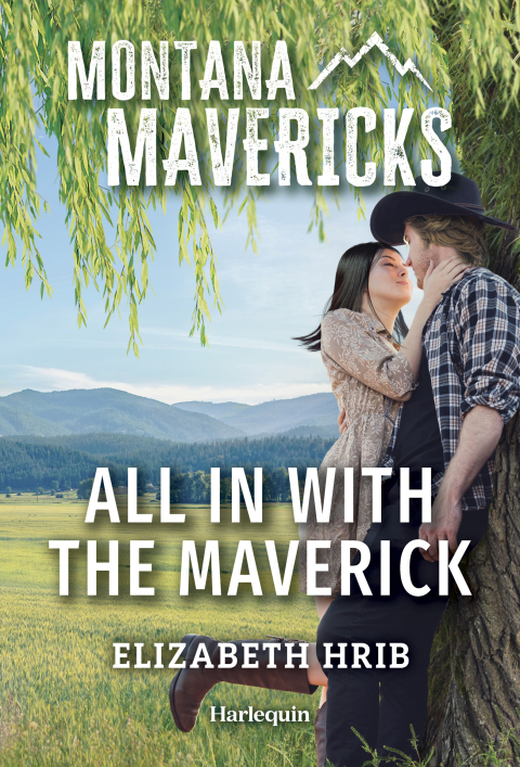 Cover image for book All In with the Maverick